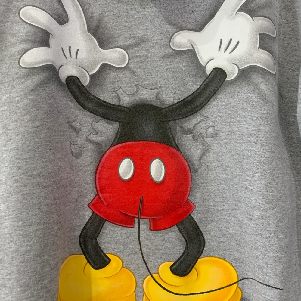Walt Disney World Mickey Mouse hoodie men’s sz Med - Picture 4 of 5